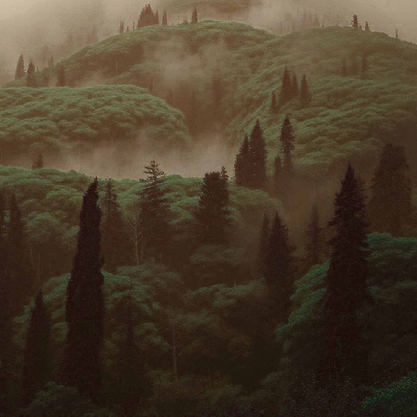 Nebelwald