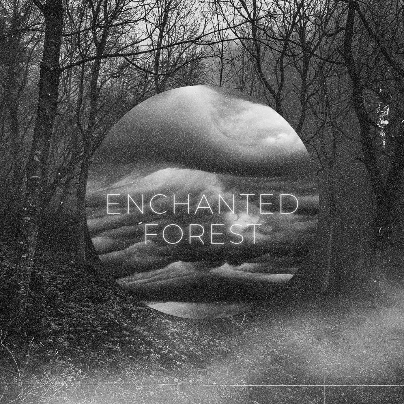 Enchanted Forest