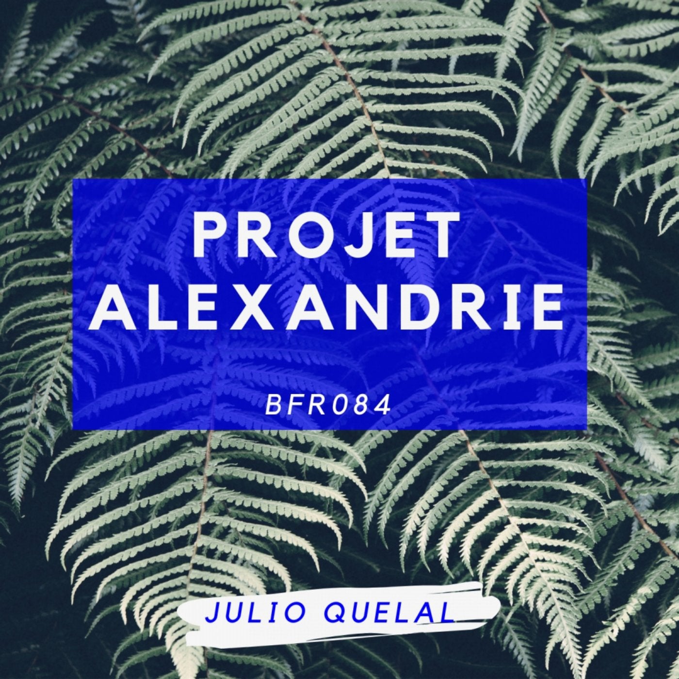 Projet Alexandrie