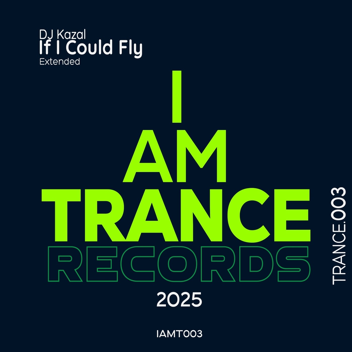 Cover art for If I Could Fly