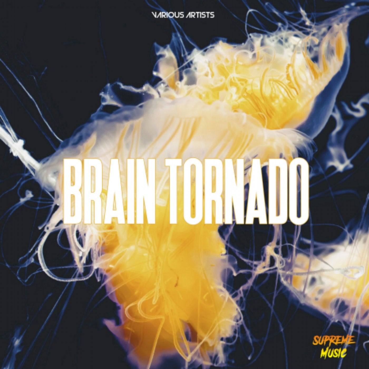 Brain Tornado