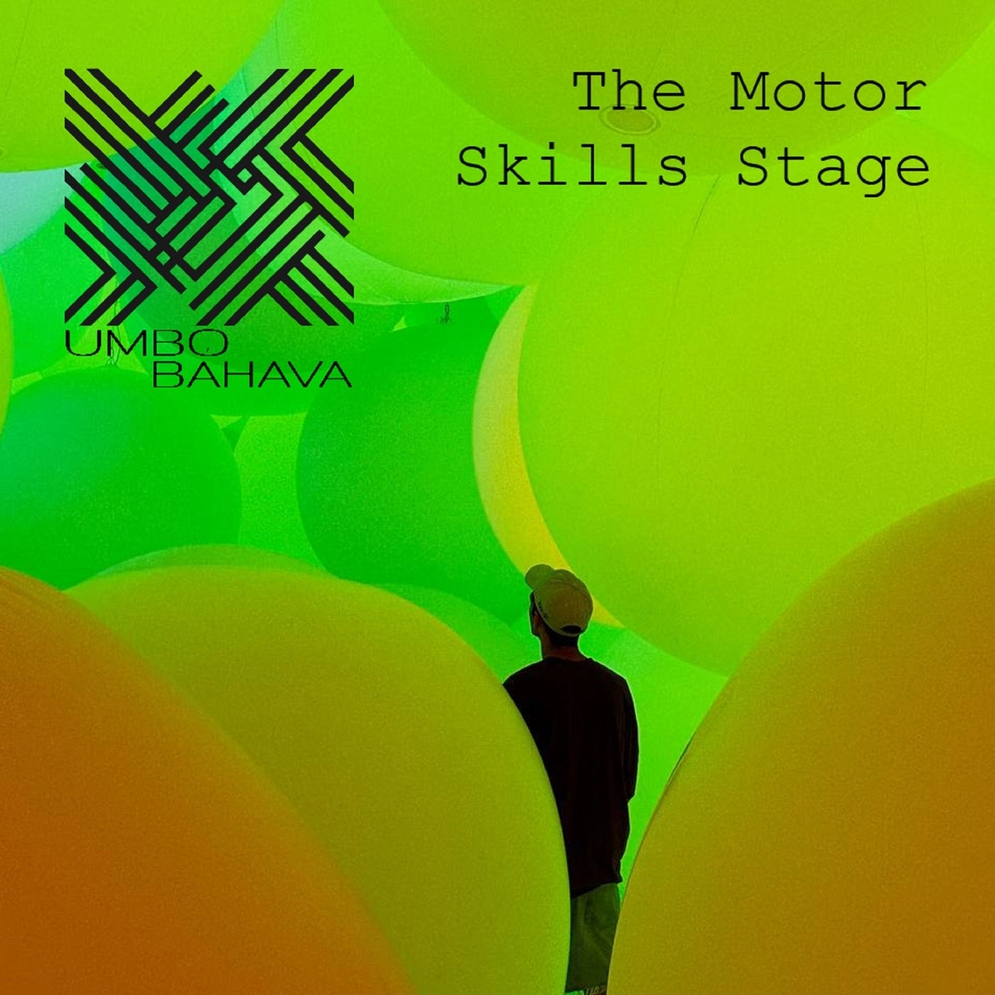 The Motor Skills Stage