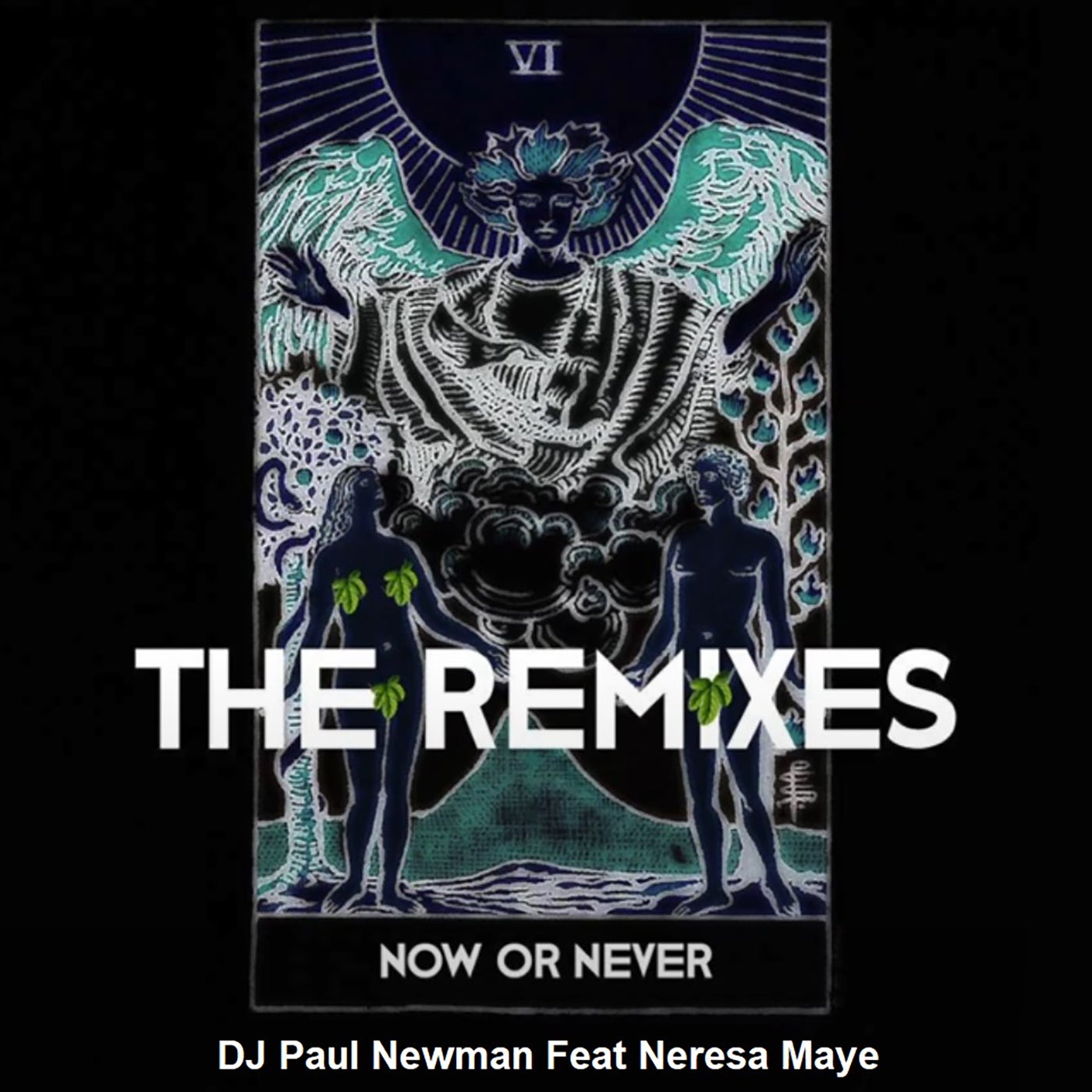 Now or Never (Remixes)