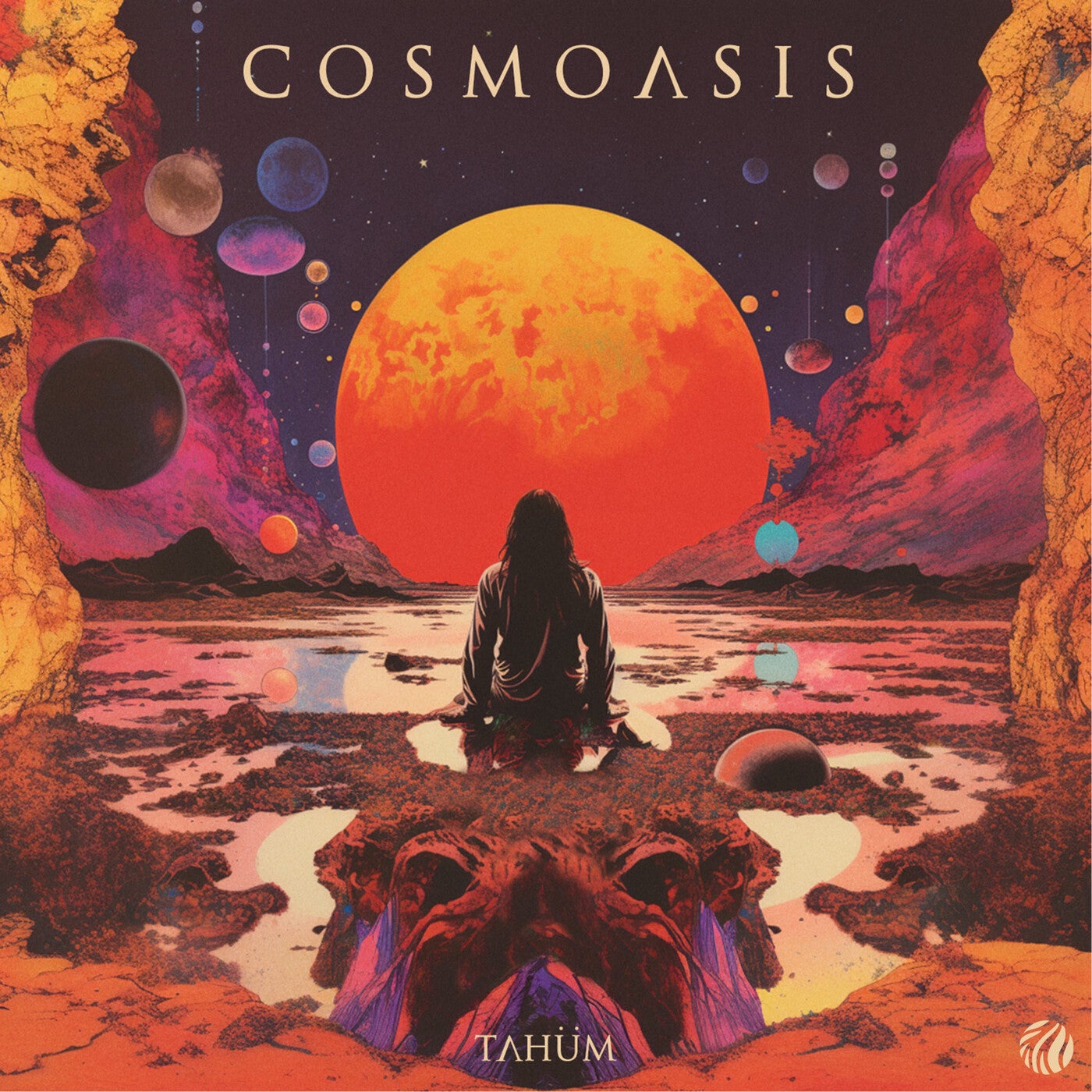 Cosmoasis