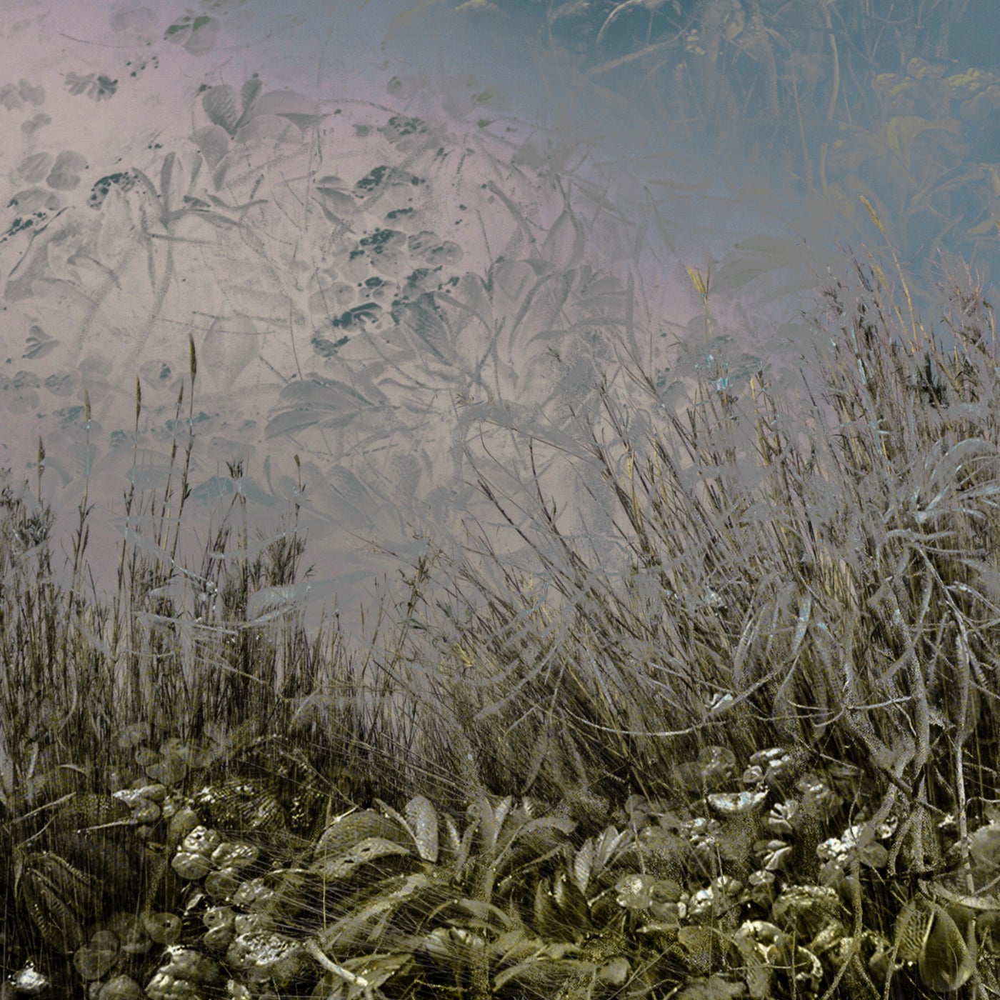 Southern Lands