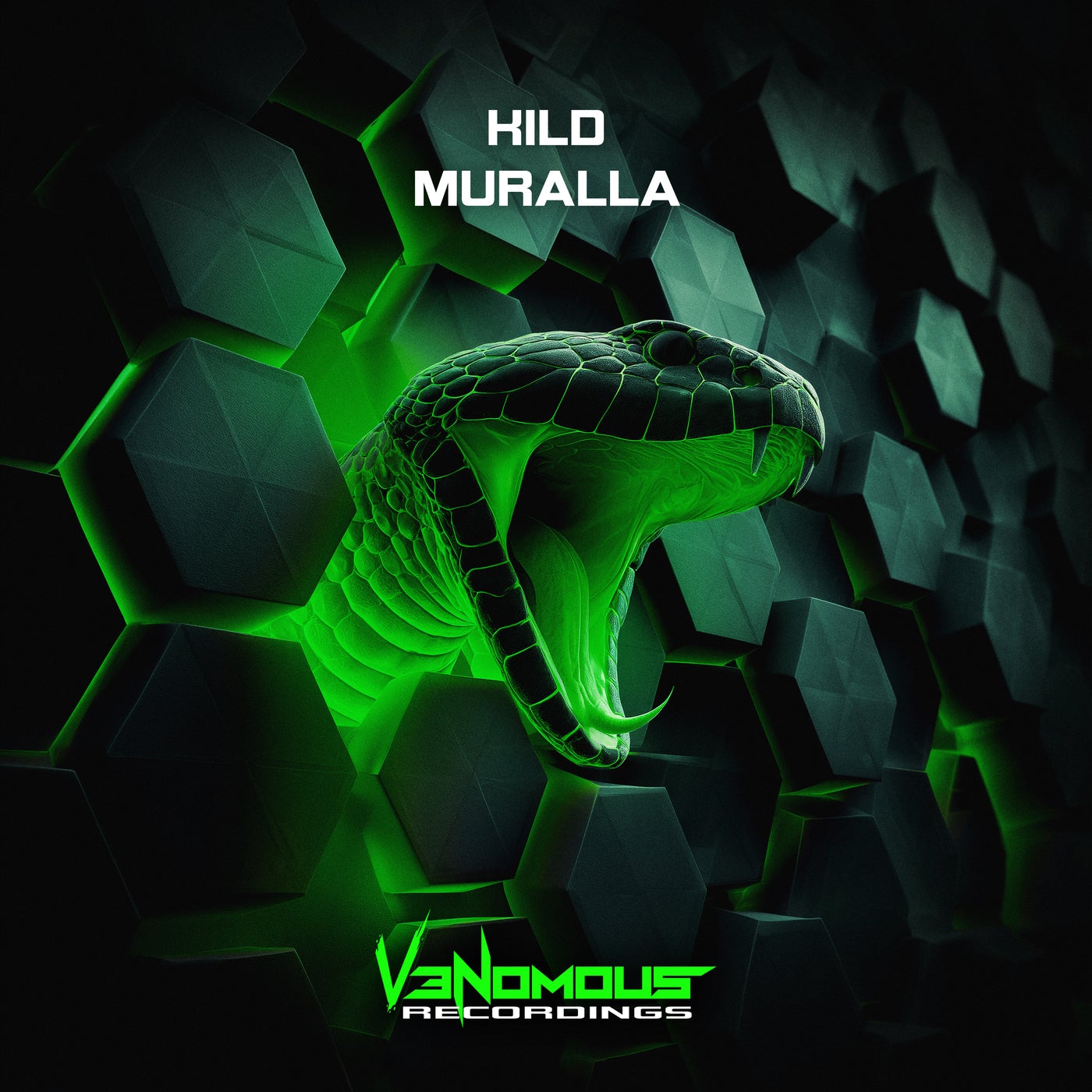 www.beatport.com