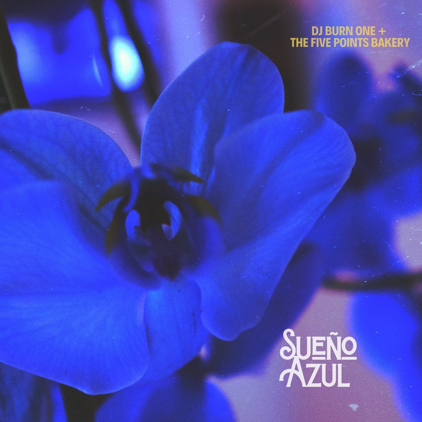 Sueño Azul