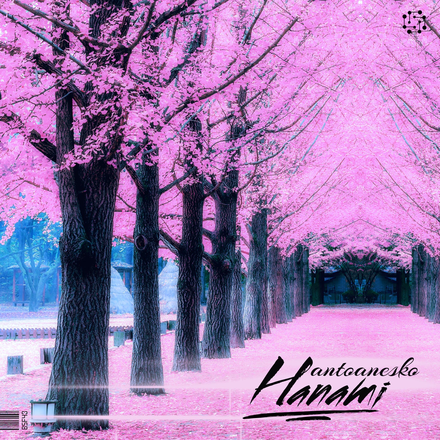 Hanami