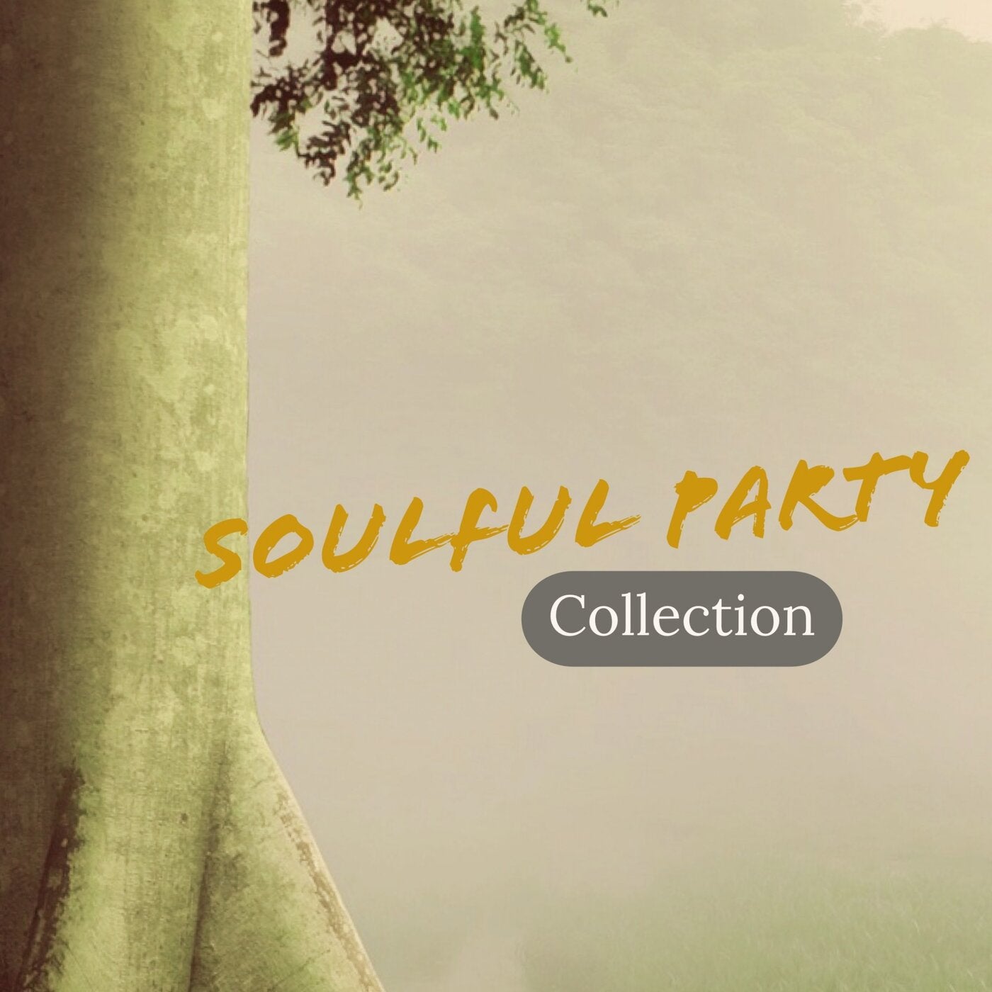 Cover art for Soulful Party Collection