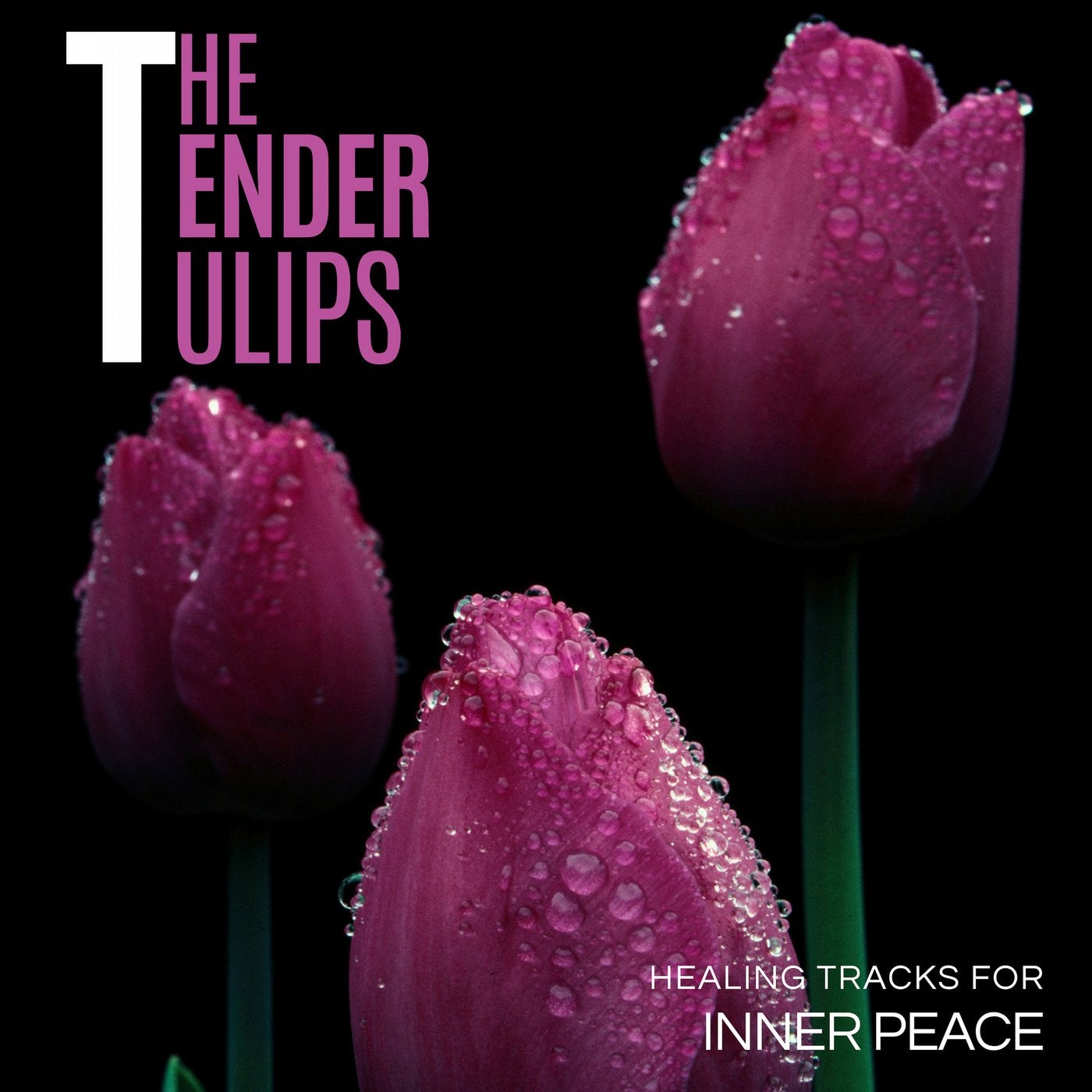 The Tender Tulips - Healing Tracks For Inner Peace