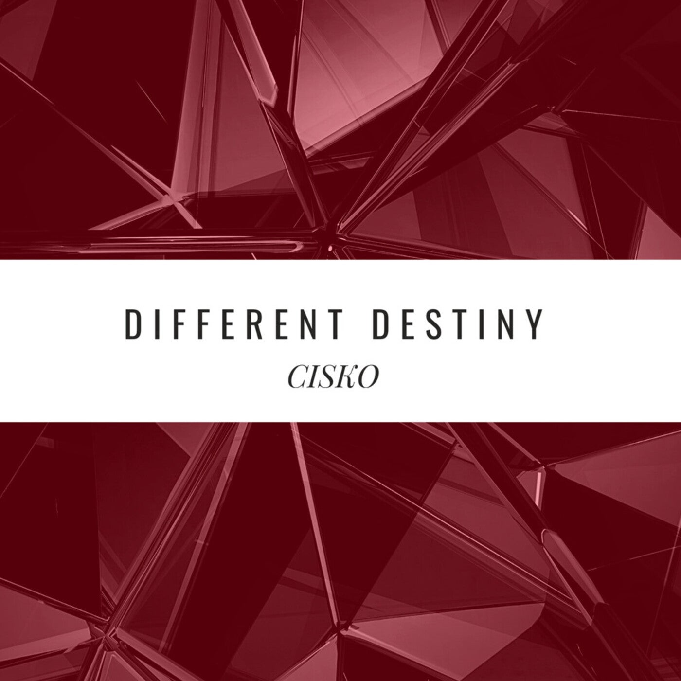 Different Destiny