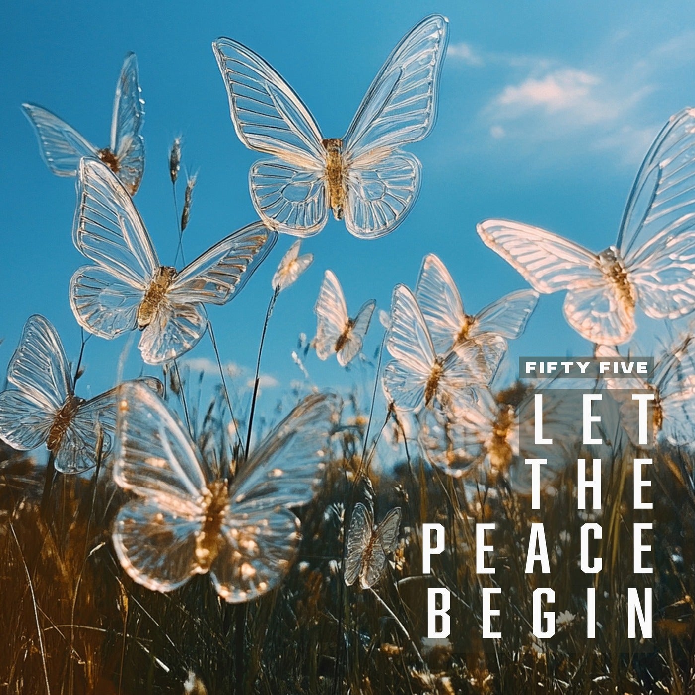 Let The Peace Begin