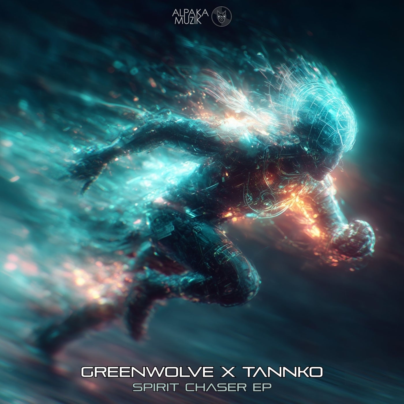 Cover art for Spiritchaser