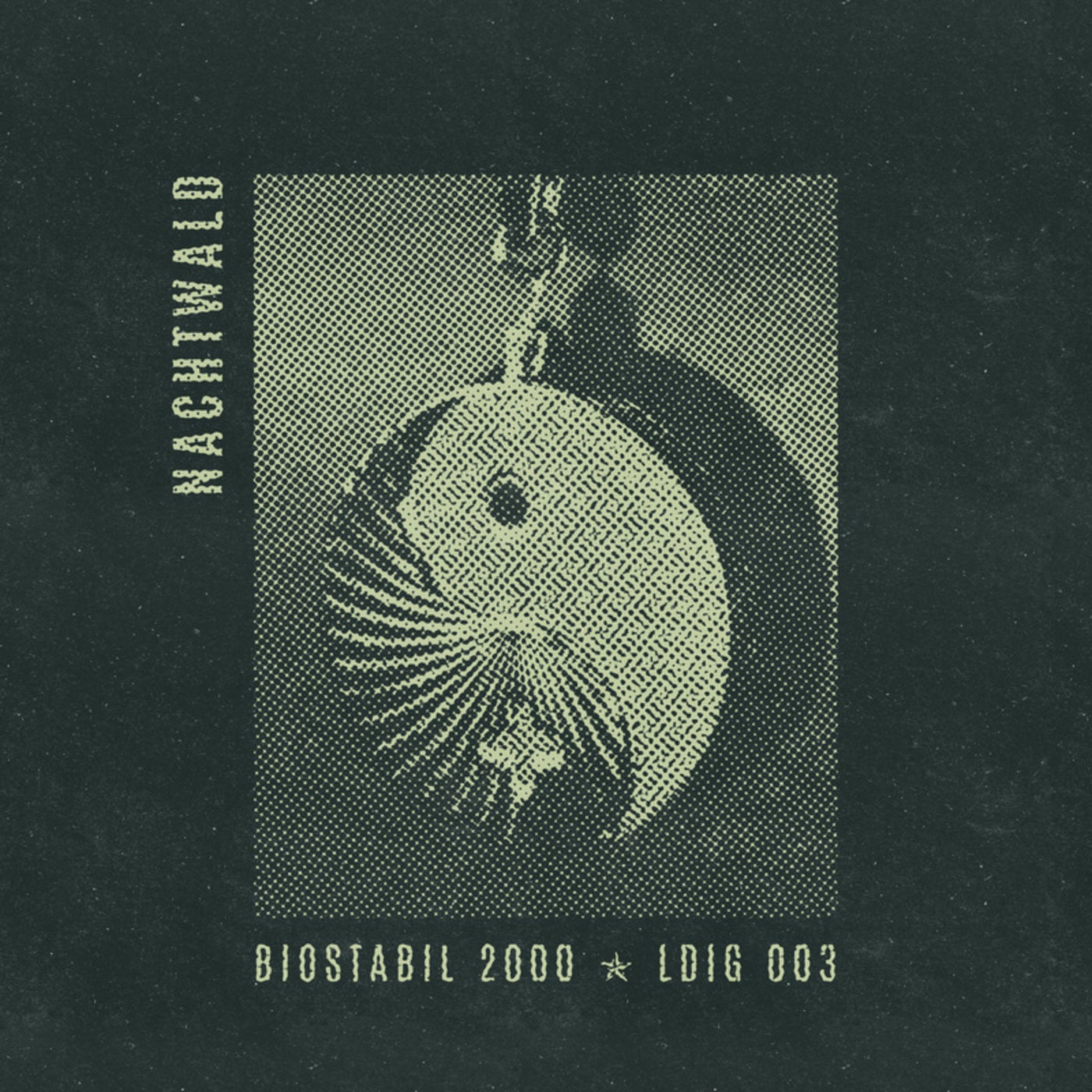 BioStabil 2000