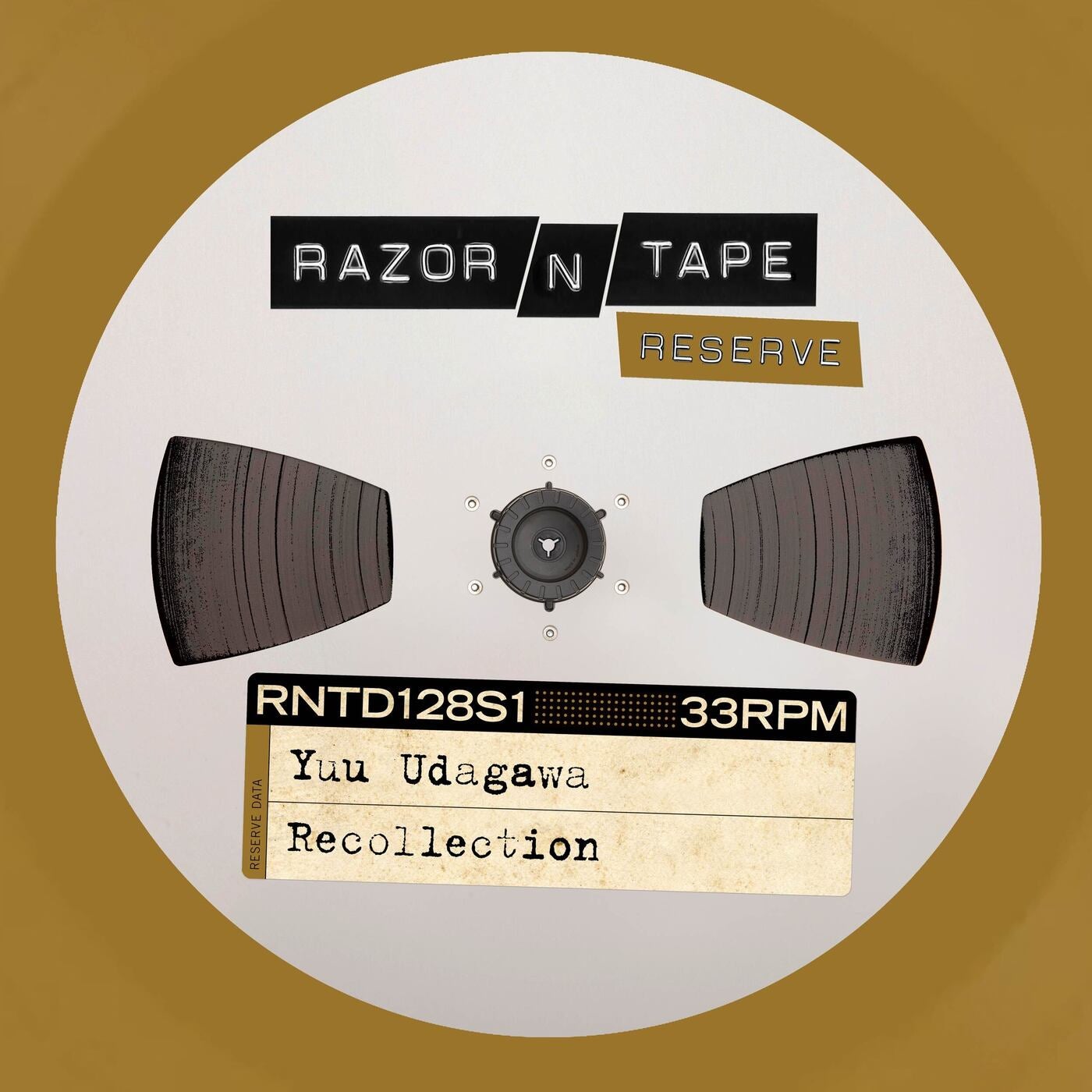 Cover art for Recollection