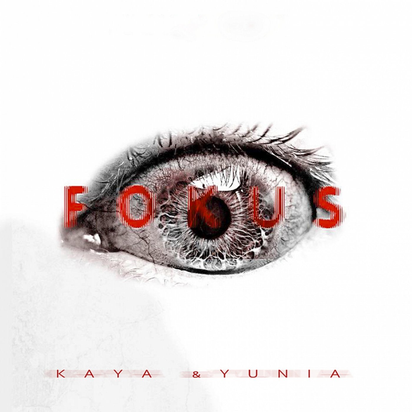 Fokus