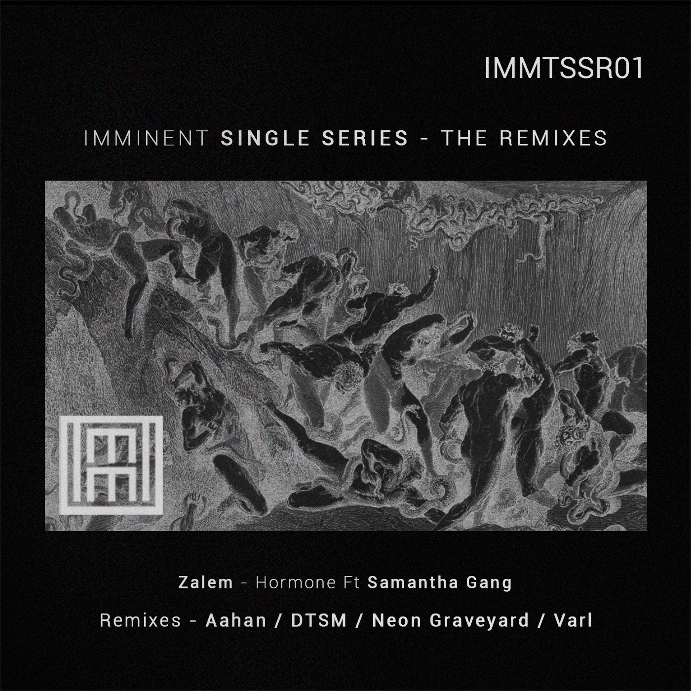 Single series - The remixes