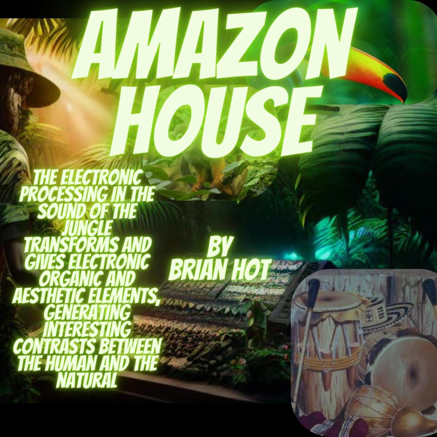 Amazon house