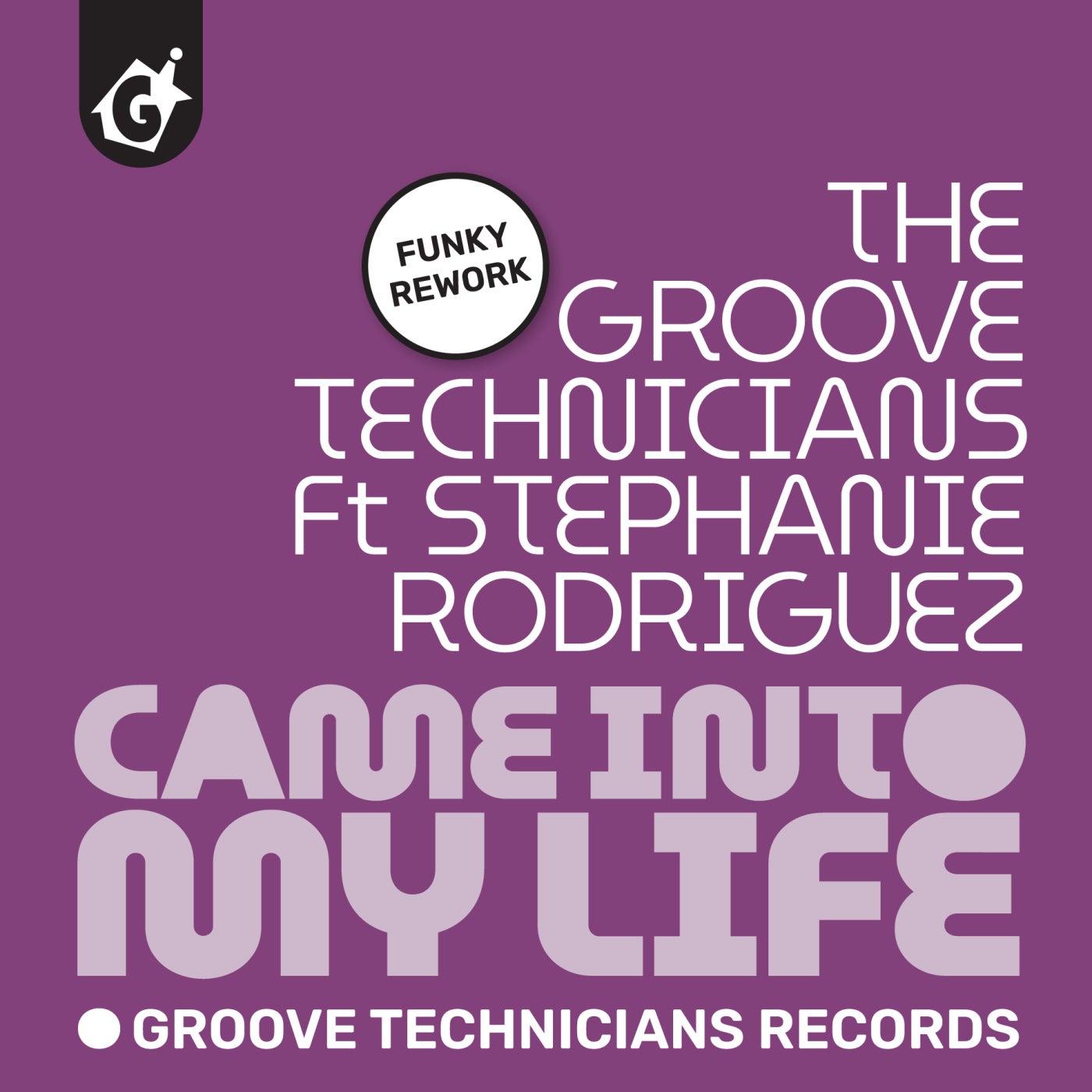 Came Into My Life (Funky Remix)