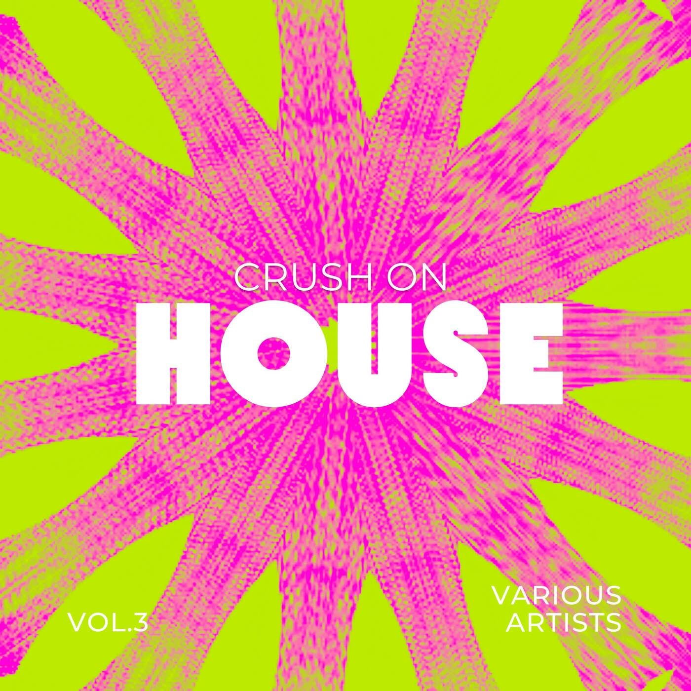 Crush On House, Vol. 3
