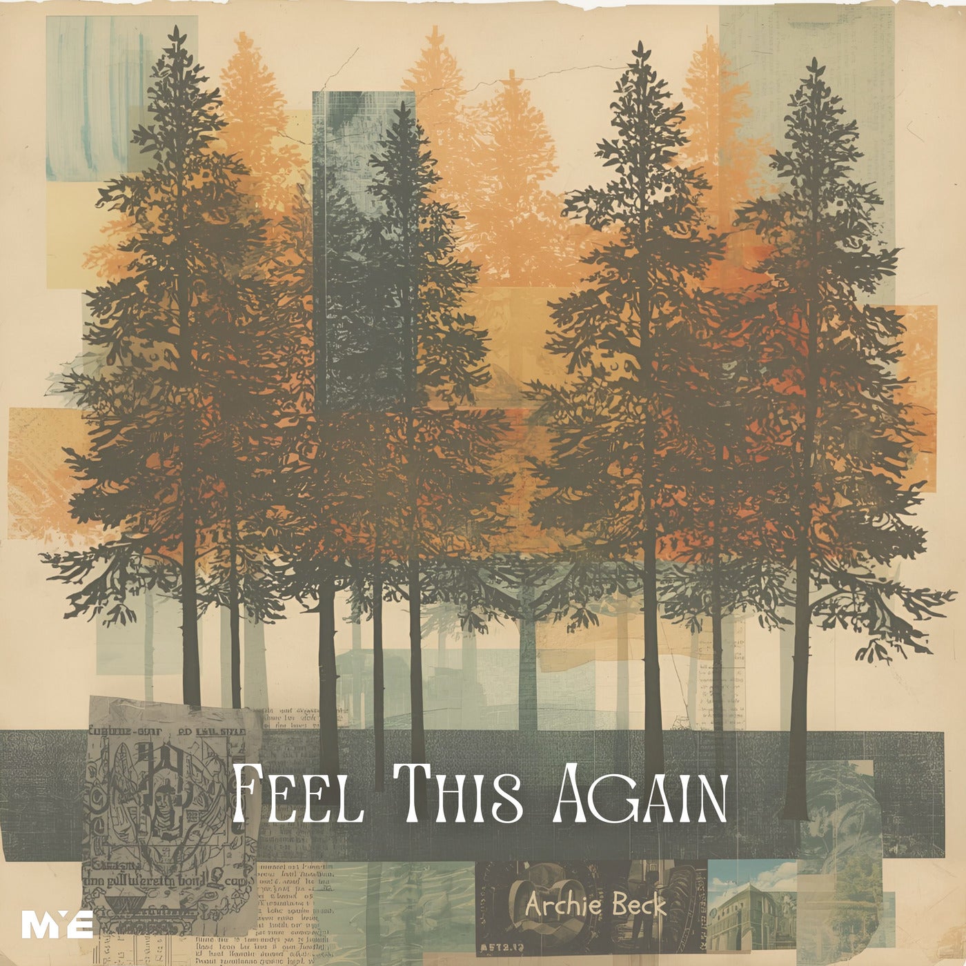 Feel This Again