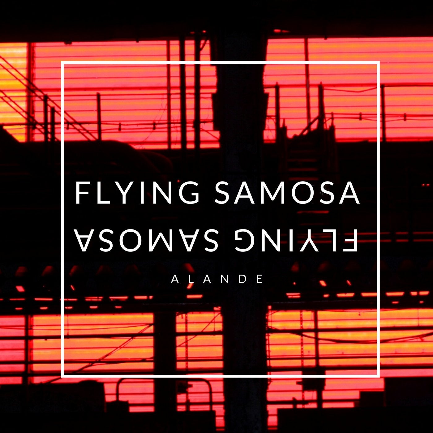 Flying Samosa