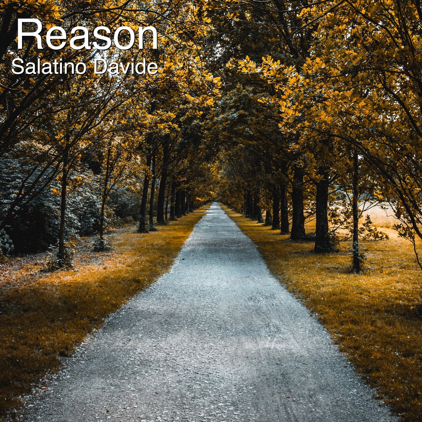 Reason