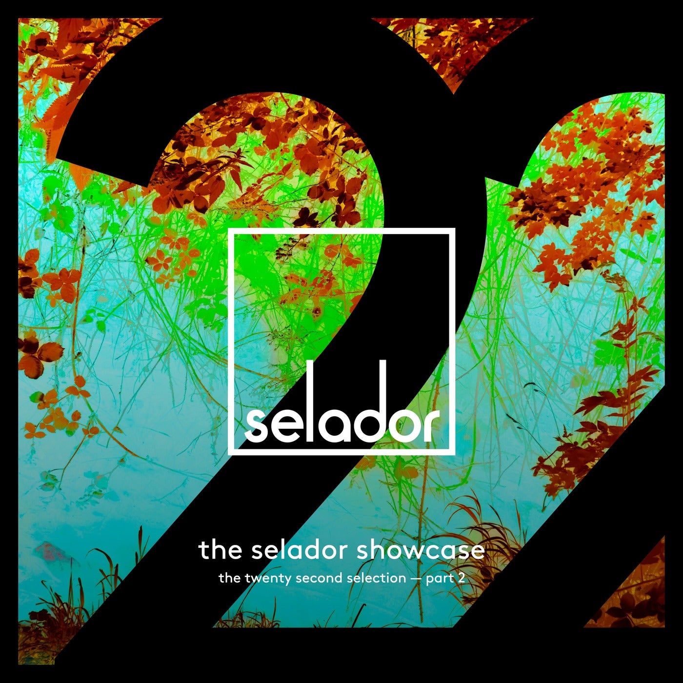 Selador Showcase 22, Pt. 2