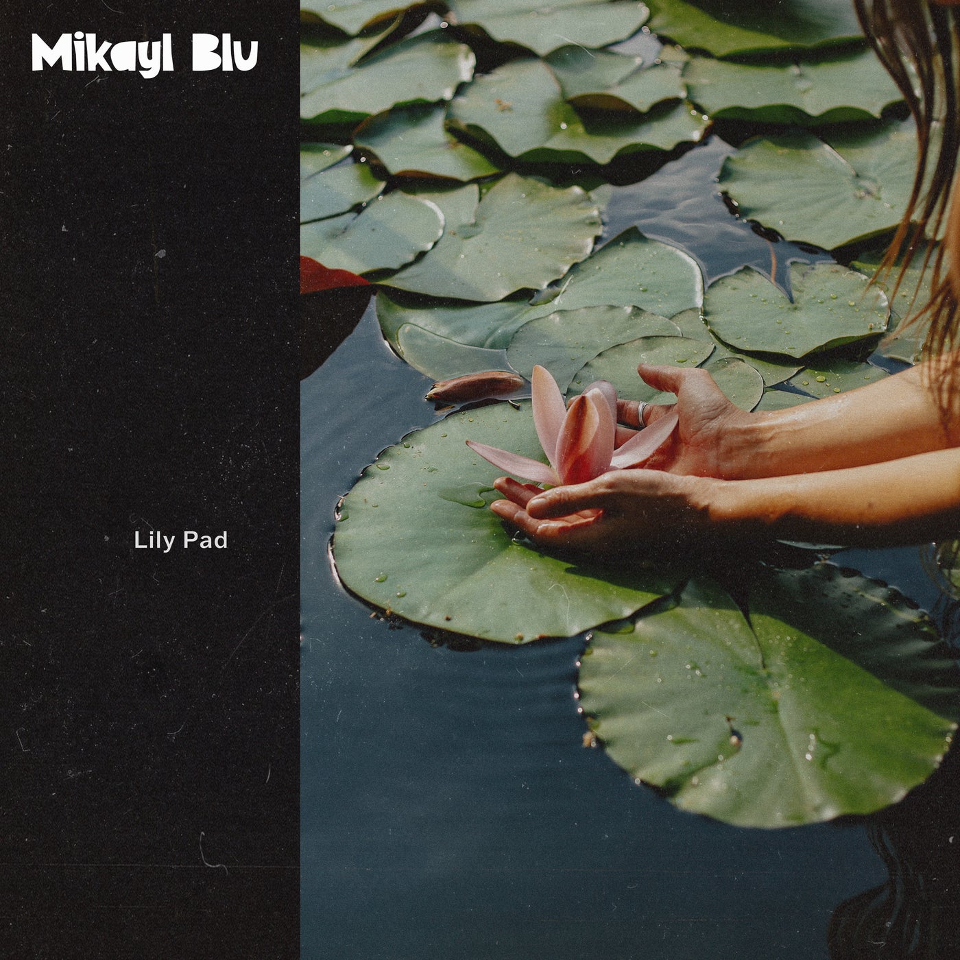 Lily Pad