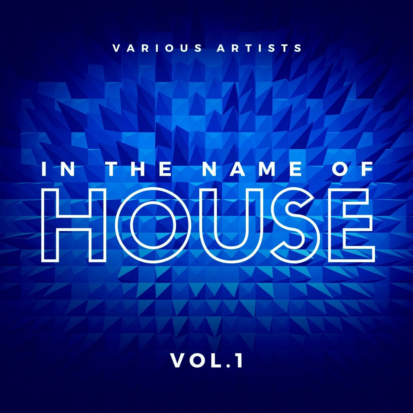 In the Name of House, Vol. 1
