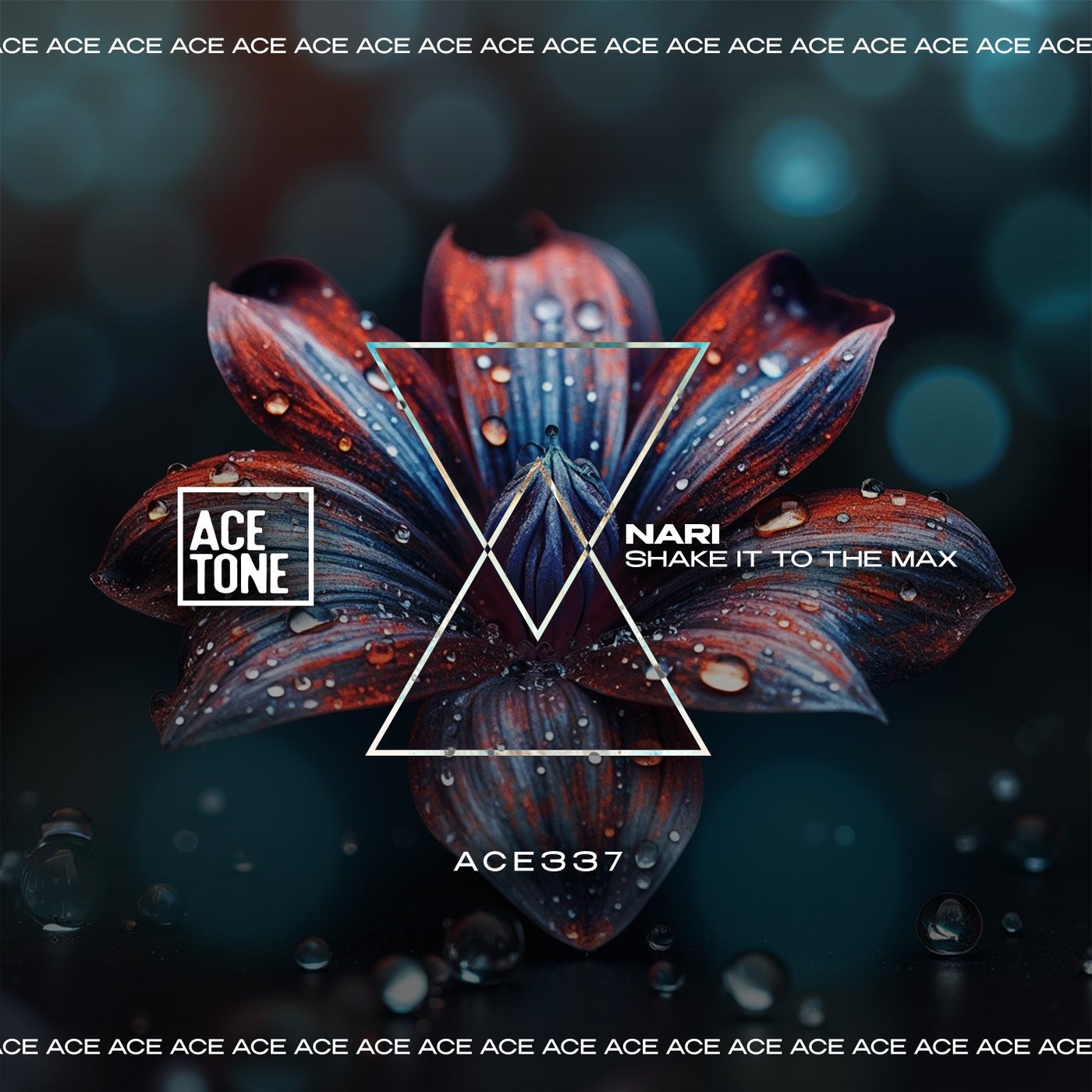 Cover art for  Shake It To The Max 