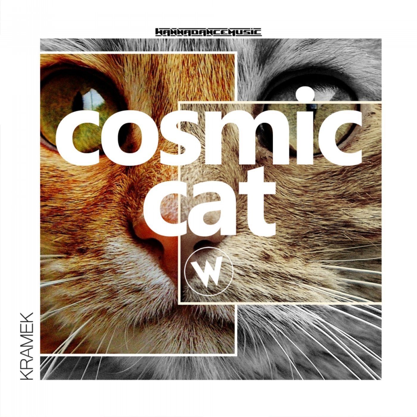 Cosmic Cat