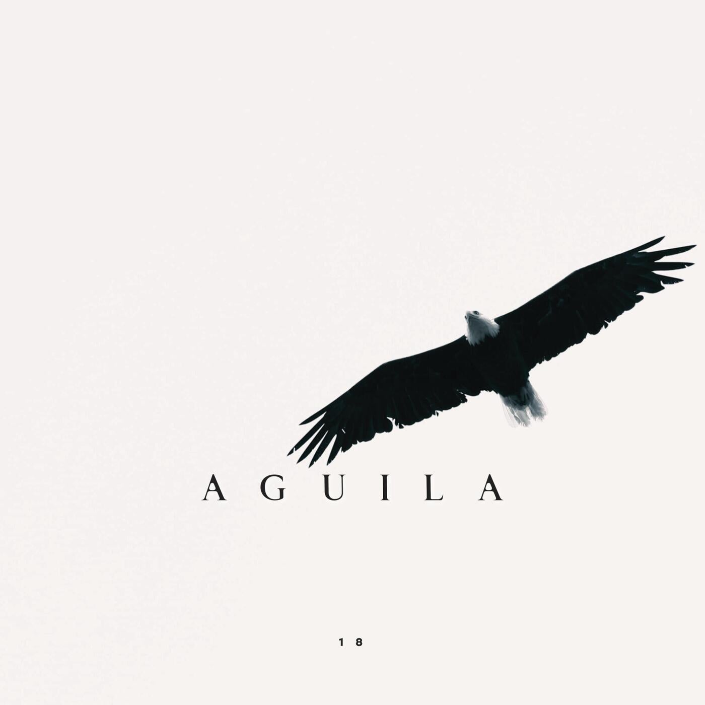 Aguila