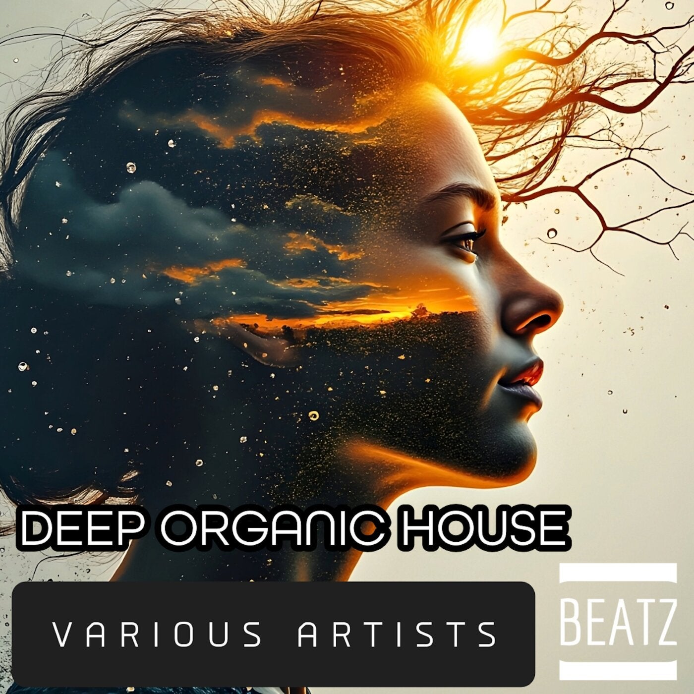 Cover art for Deep Organic House