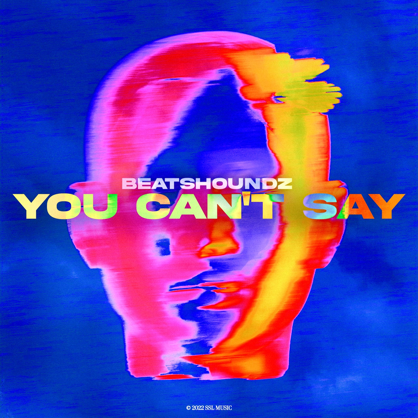 You Can't Say