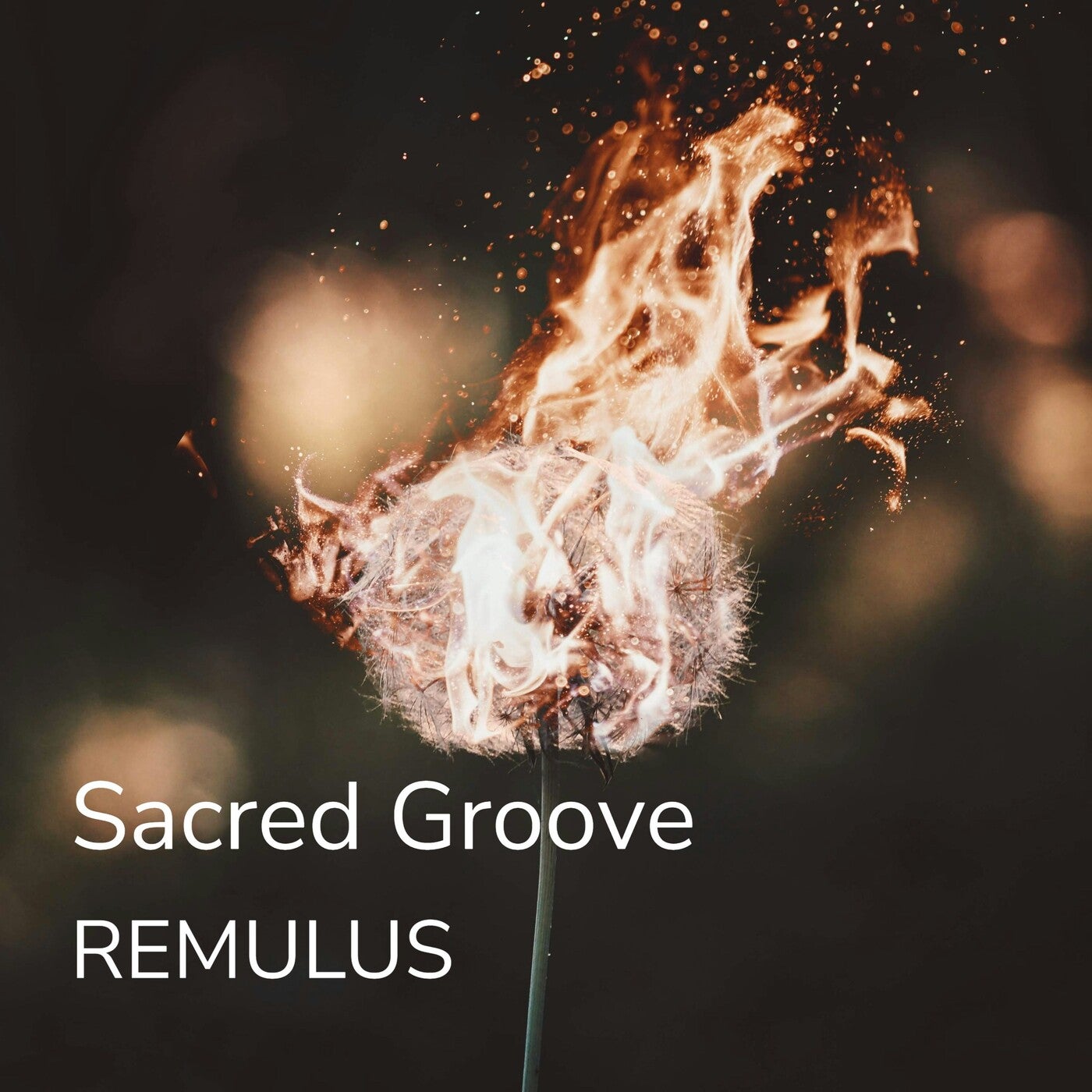 Sacred Groove