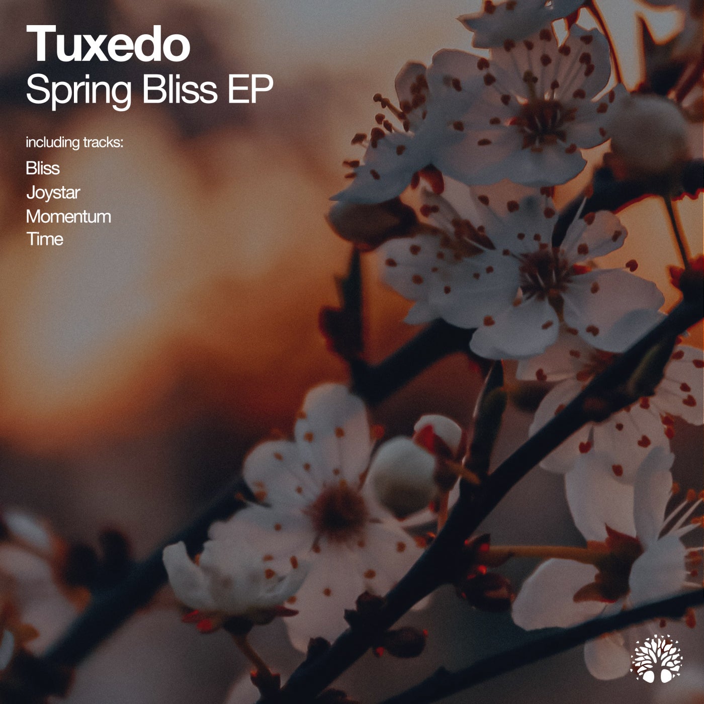 Spring Bliss