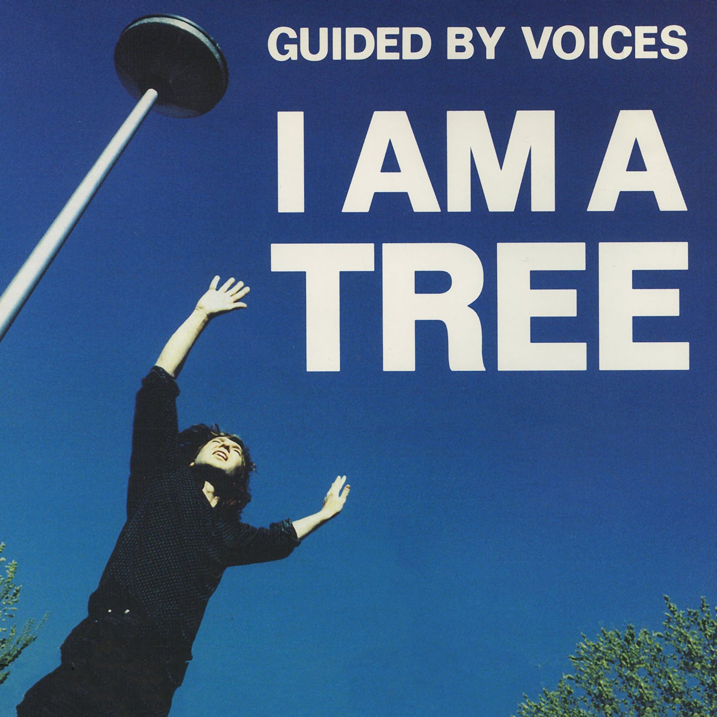 I Am A Tree