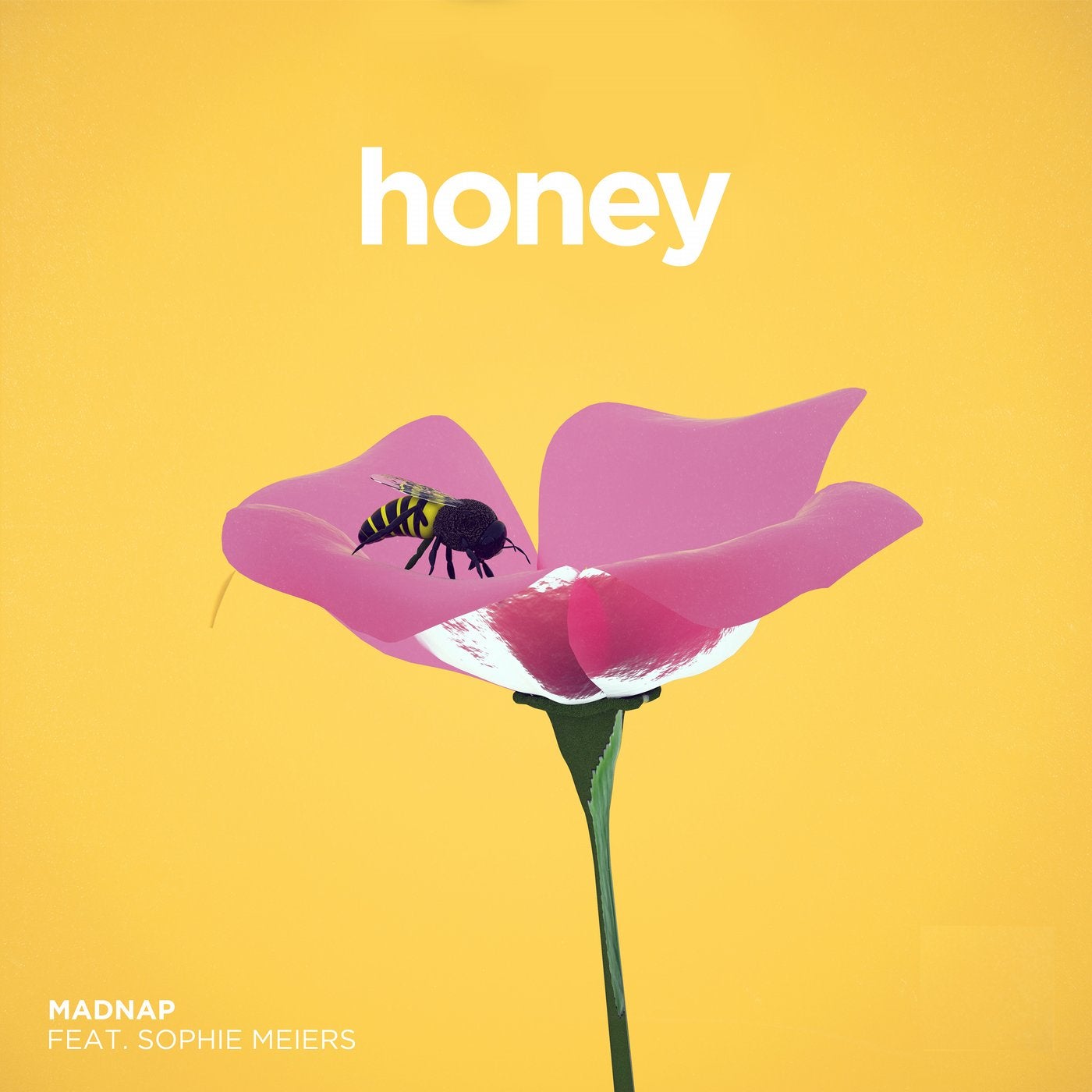 Honey feat. Sophie Meiers