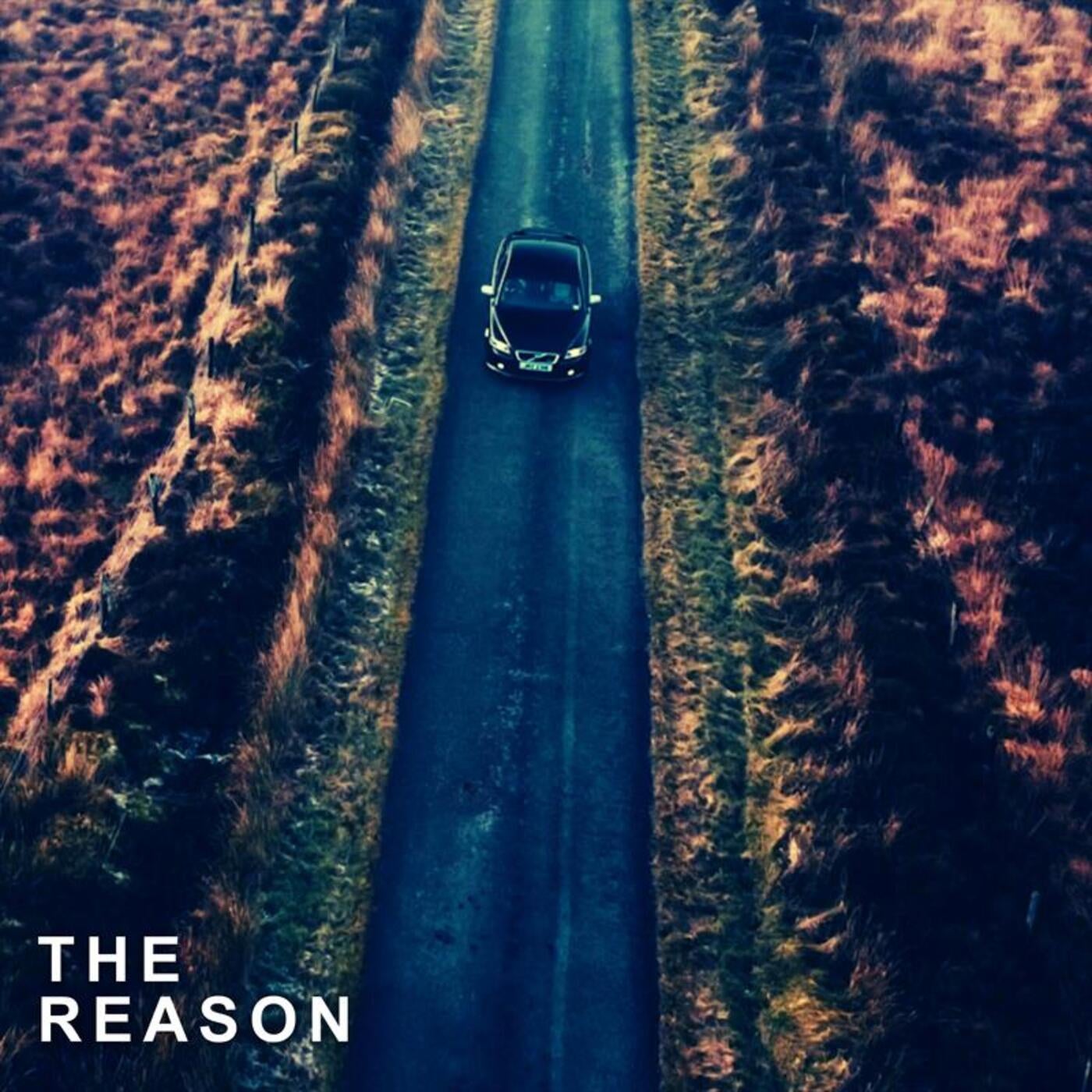 The Reason