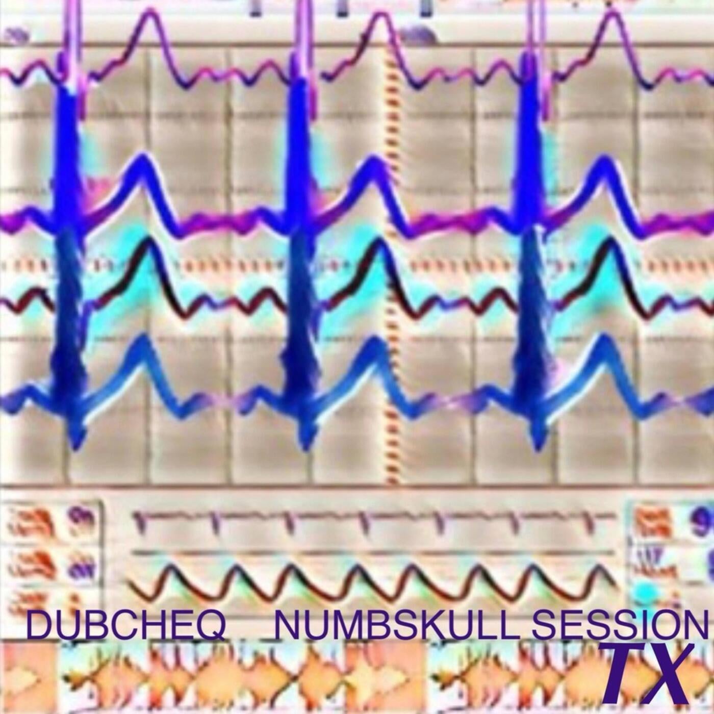 Numbskull TX
