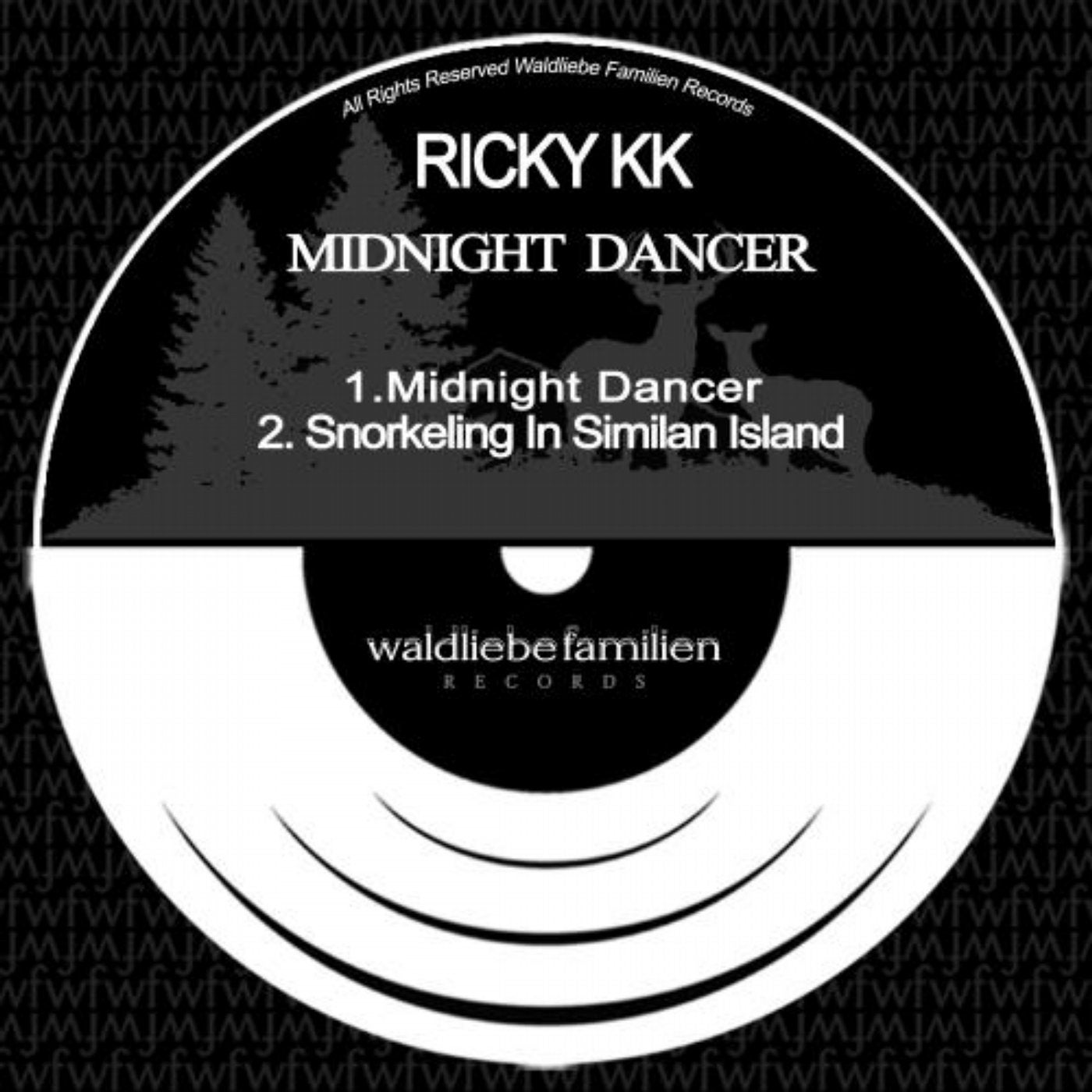 Midnight Dancer