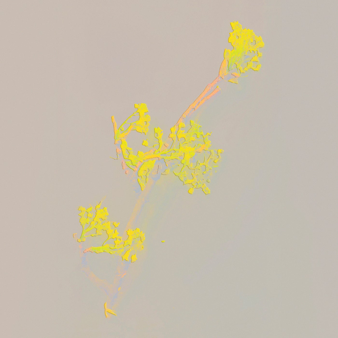 Cover art for Universe