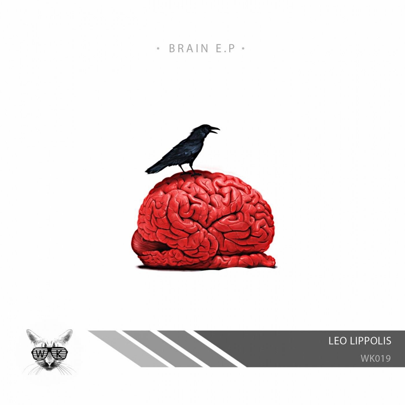 Brain