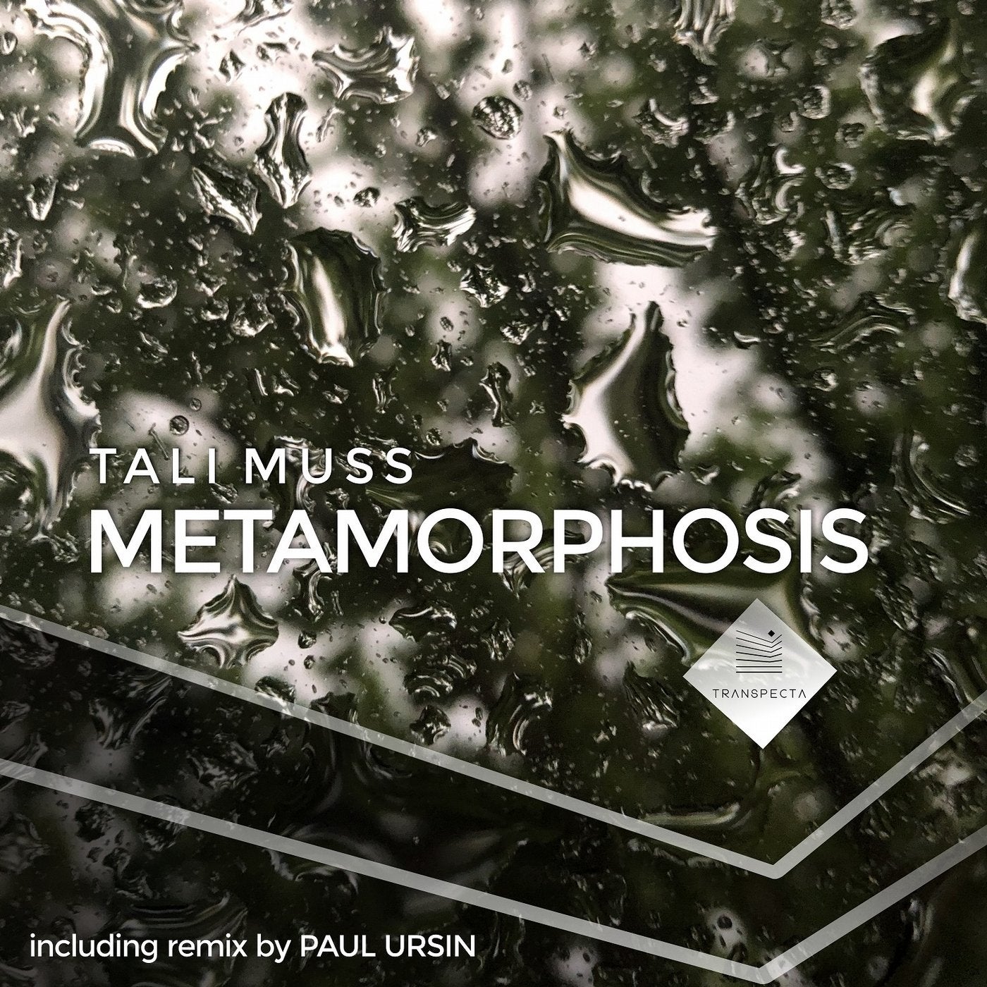 Включи metamorphosis 2. Metamorphosis трек. Metamorphosis 2 обложка. Metamorphosis Remix. Metamorphosis Interworld обложка.