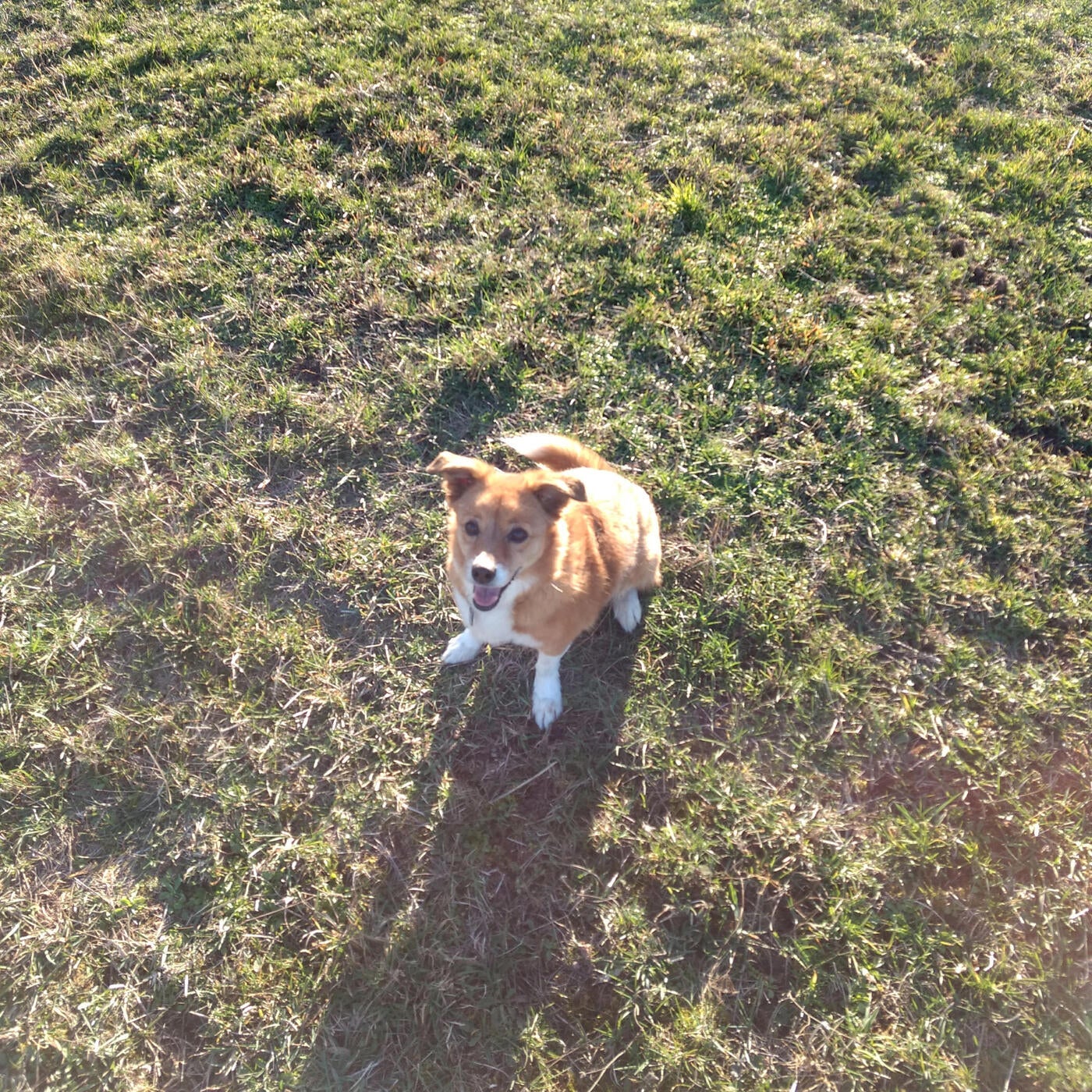 Aika
