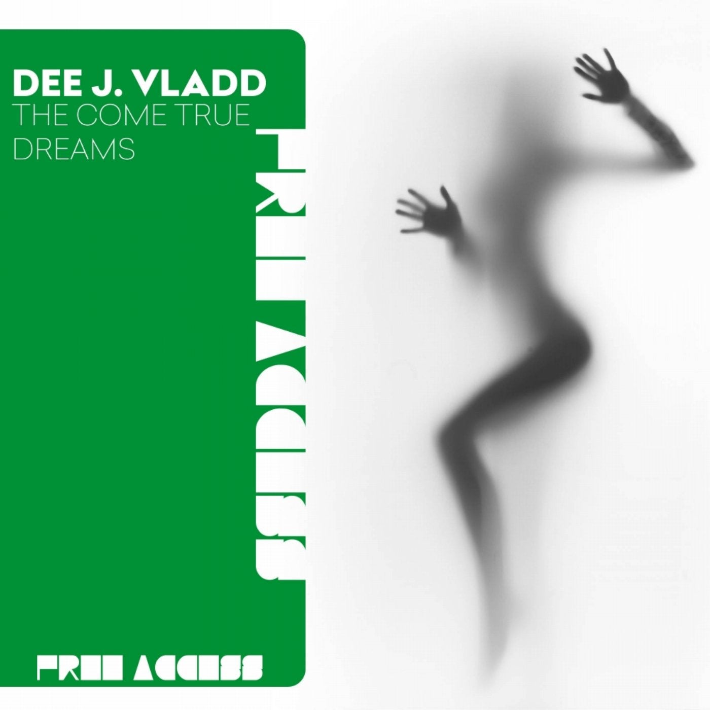 The Come True Dreams