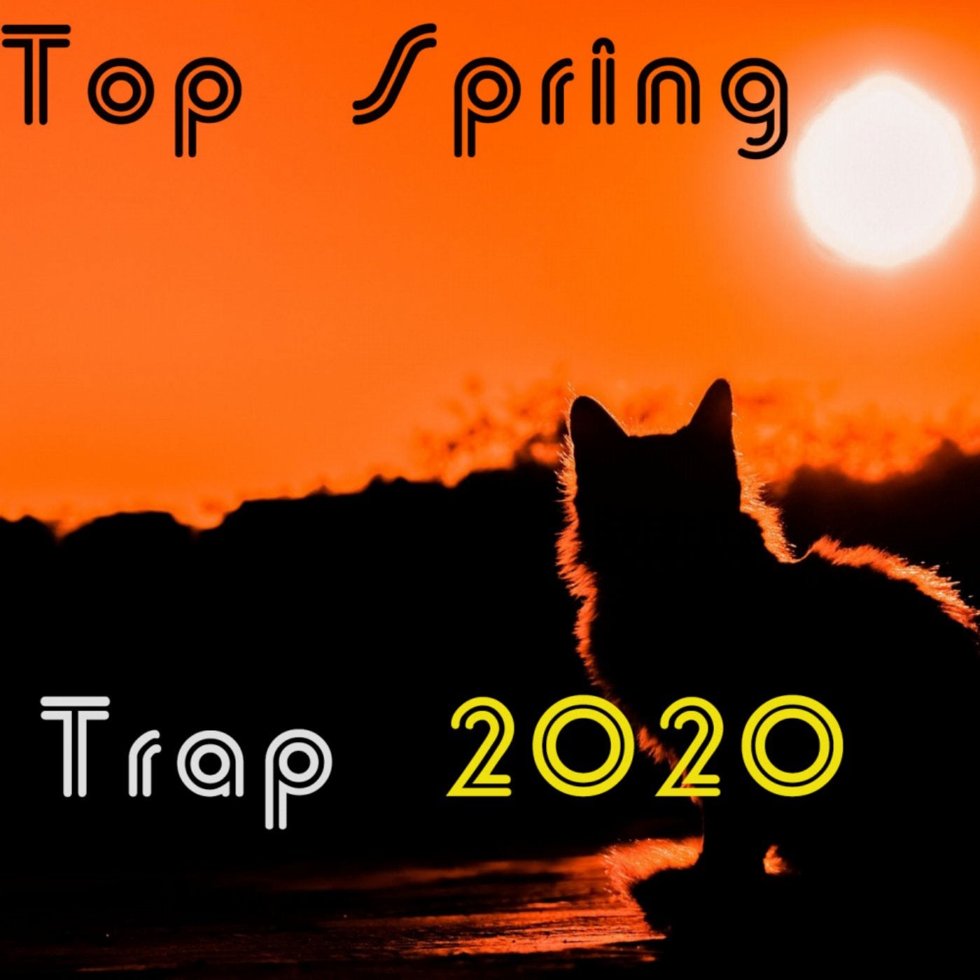 Top Spring Trap 2020