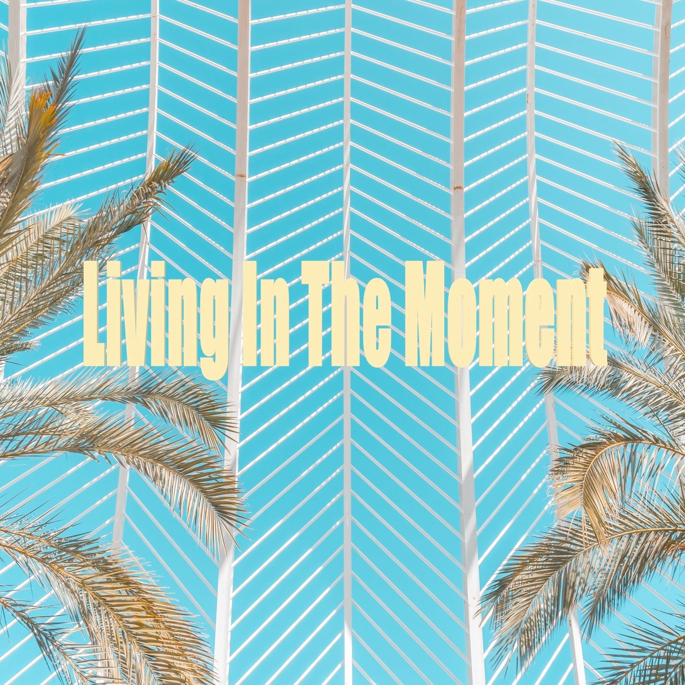 Living in the Moment