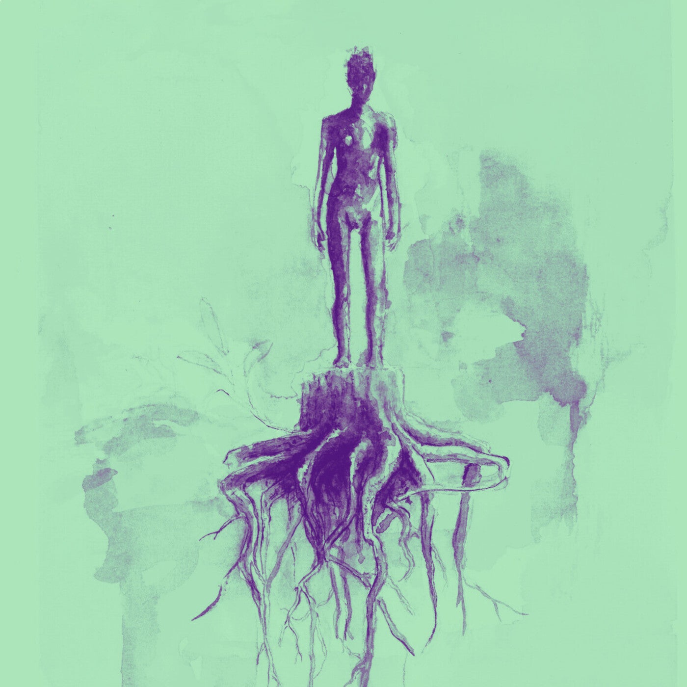 Roots
